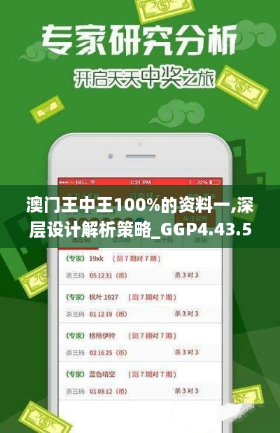 澳门王中王100%的资料一,深层设计解析策略_GGP4.43.55核心版