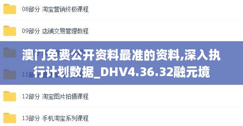 澳门免费公开资料最准的资料,深入执行计划数据_DHV4.36.32融元境