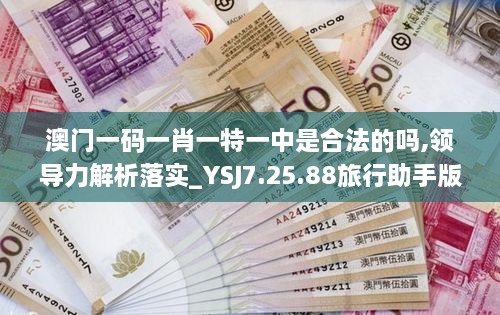 澳门一码一肖一特一中是合法的吗,领导力解析落实_YSJ7.25.88旅行助手版