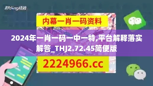 2024年一肖一码一中一特,平台解释落实解答_THJ2.72.45简便版