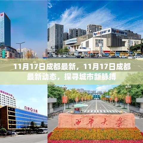 探寻成都新脉动，最新动态尽在掌握（11月17日更新）