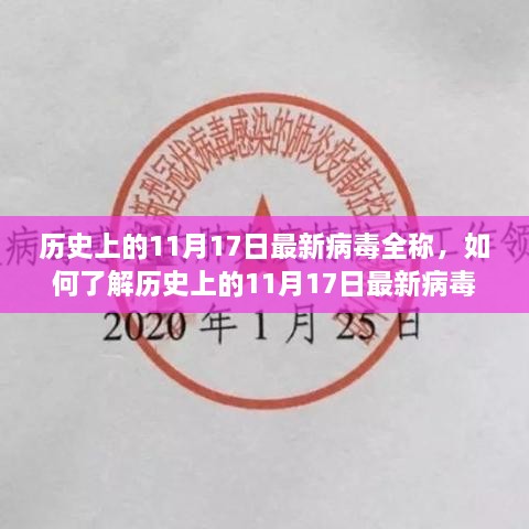 历史上的11月17日最新病毒全称解析及防范指南，详细步骤助你应对病毒威胁