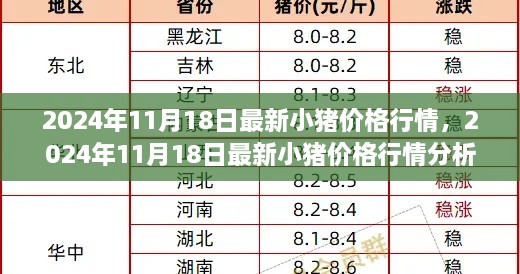 小猪价格行情最新动态，深度解析2024年11月18日最新行情与趋势预测