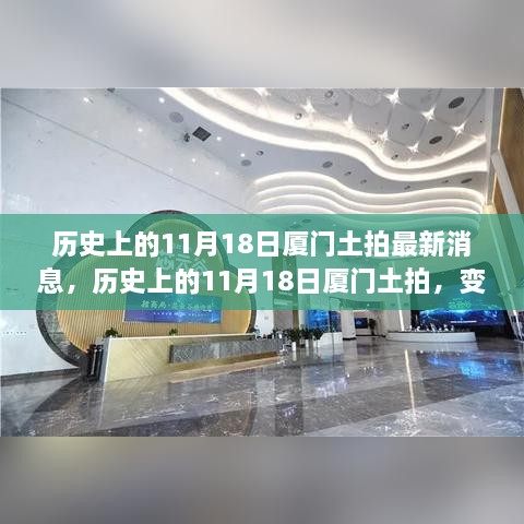 厦门土拍新机遇，历史变迁中的成就与自信之源