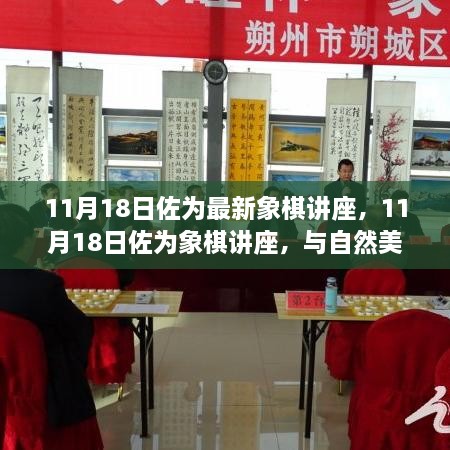 佐为象棋讲座，与自然美景对弈，探寻内心平和之旅