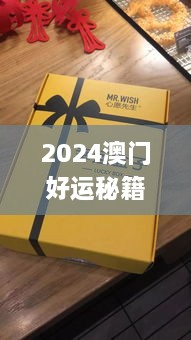 2024澳门好运秘籍汇总：凤凰天机与11月设计创新解析_OZD1.65.55版