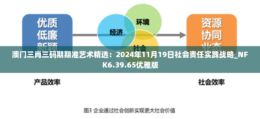 澳门三肖三码期期准艺术精选：2024年11月19日社会责任实践战略_NFK6.39.65优雅版