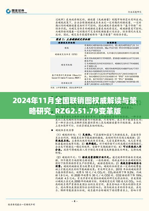 2024年11月全国联销图权威解读与策略研究_RZG2.51.79变革版