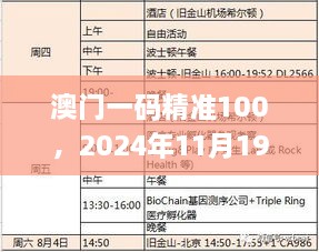 澳门一码精准100，2024年11月19日创新解析实施_BTC3.16.23个性化版本