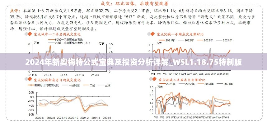 2024年新奥梅特公式宝典及投资分析详解_WSL1.18.75特制版