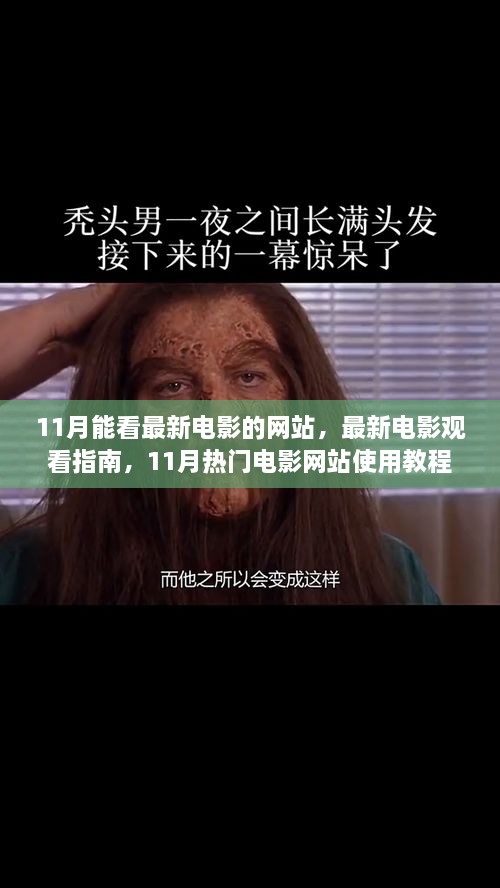 11月热门电影在线观看指南，网站推荐与使用教程