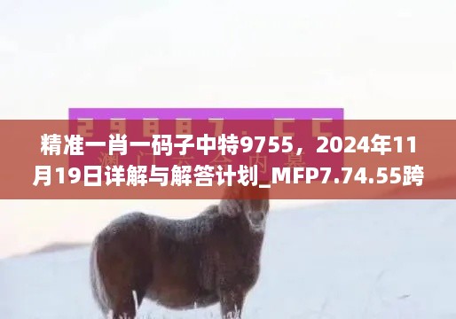 精准一肖一码子中特9755，2024年11月19日详解与解答计划_MFP7.74.55跨界版