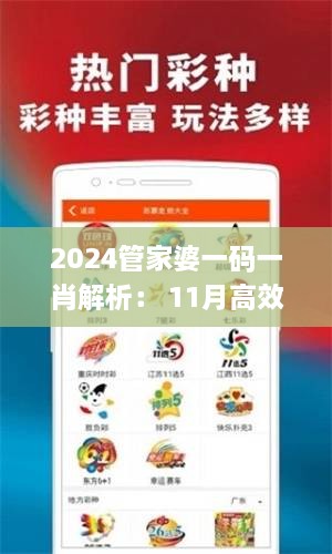 2024管家婆一码一肖解析： 11月高效推进现象_XRV2.21.49简版