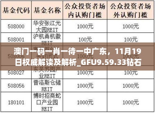 澳门一码一肖一待一中广东，11月19日权威解读及解析_GFU9.59.33钻石版