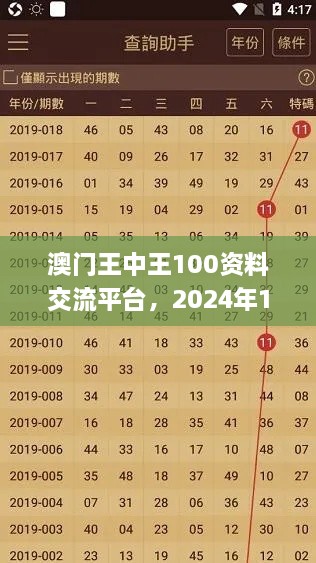 澳门王中王100资料交流平台，2024年11月19日详细解答与说明_REN6.49.70特秘版