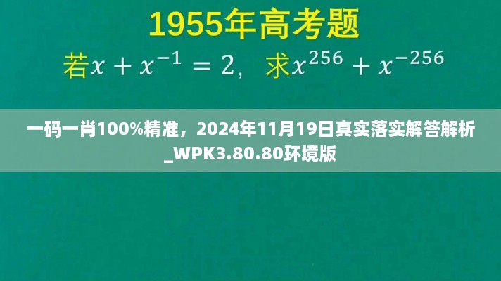 一码一肖100%精准，2024年11月19日真实落实解答解析_WPK3.80.80环境版