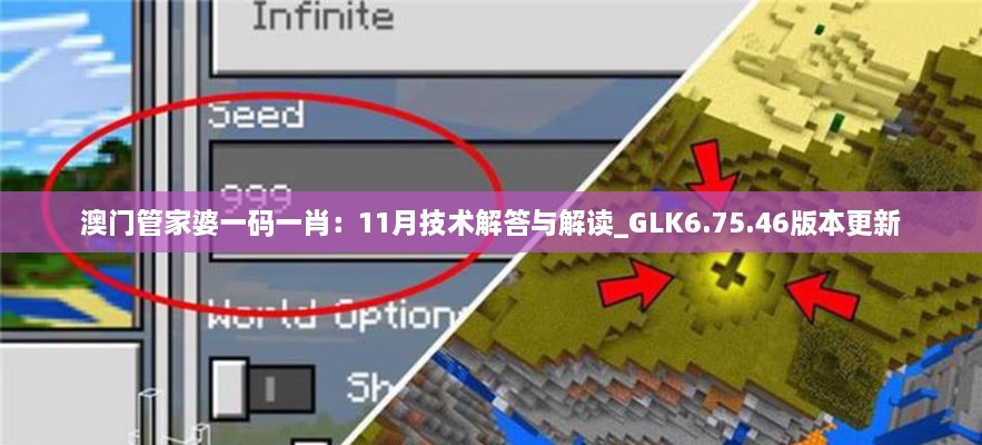 澳门管家婆一码一肖：11月技术解答与解读_GLK6.75.46版本更新