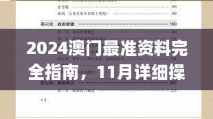 2024澳门最准资料完全指南，11月详细操作步骤解析_MPI8.65.85高端体验版