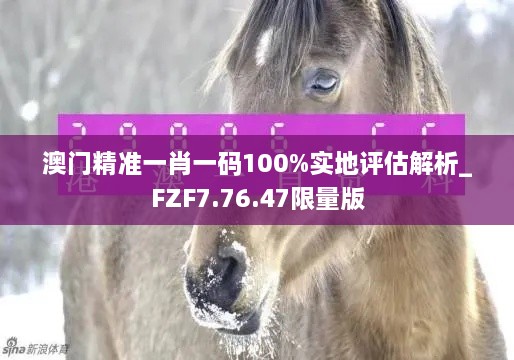 澳门精准一肖一码100%实地评估解析_FZF7.76.47限量版