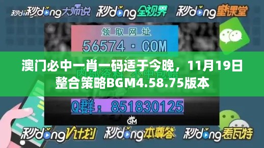 澳门必中一肖一码适于今晚，11月19日整合策略BGM4.58.75版本