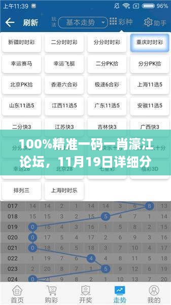 100%精准一码一肖濠江论坛，11月19日详细分析与解答措施_IRO7.13.66环保版