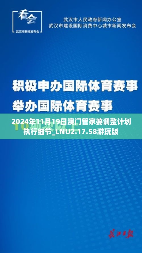 2024年11月19日澳门管家婆调整计划执行细节_LNU2.17.58游玩版