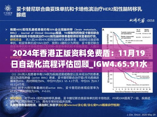 2024年香港正版资料免费盾：11月19日自动化流程评估回顾_IGW4.65.91水晶版