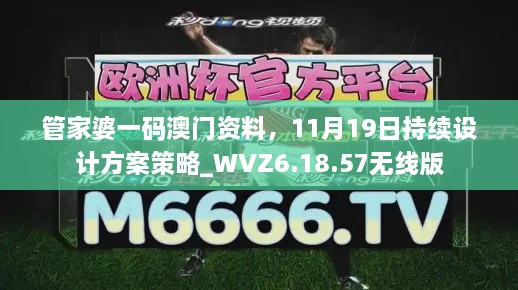 管家婆一码澳门资料，11月19日持续设计方案策略_WVZ6.18.57无线版