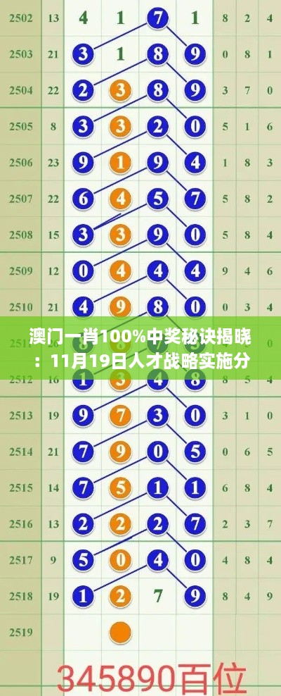 澳门一肖100%中奖秘诀揭晓：11月19日人才战略实施分析_BWM3.67.65水晶版