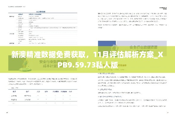 新澳精准数据免费获取，11月评估解析方案_XPB9.59.73私人版