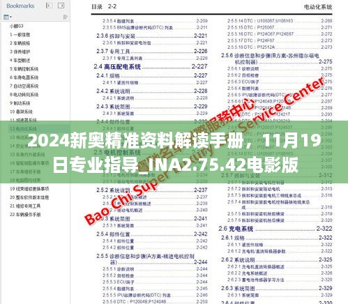 2024新奥精准资料解读手册，11月19日专业指导_INA2.75.42电影版