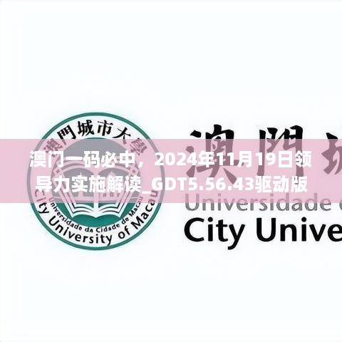 澳门一码必中，2024年11月19日领导力实施解读_GDT5.56.43驱动版