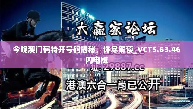 今晚澳门码特开号码揭秘，详尽解读_VCT5.63.46闪电版