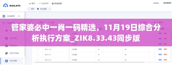 管家婆必中一肖一码精选，11月19日综合分析执行方案_ZIK8.33.43同步版