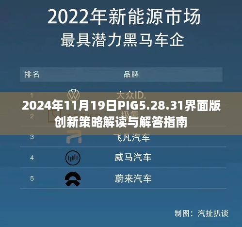 2024年11月19日PIG5.28.31界面版创新策略解读与解答指南