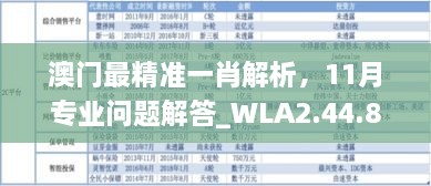 澳门最精准一肖解析，11月专业问题解答_WLA2.44.85优雅版