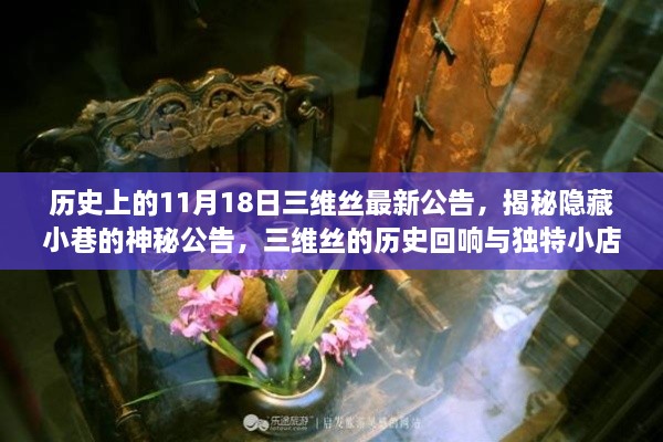 揭秘三维丝历史回响日，神秘公告与独特小店探秘记