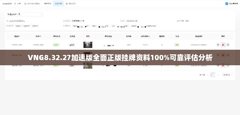 VNG8.32.27加速版全面正版挂牌资料100%可靠评估分析