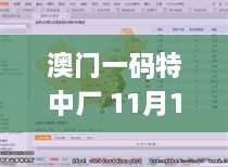 澳门一码特中厂 11月19日深入探讨与解答路径_PZN5.13.56动态版