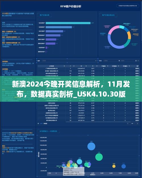 新澳2024今晚开奖信息解析，11月发布，数据真实剖析_USK4.10.30版