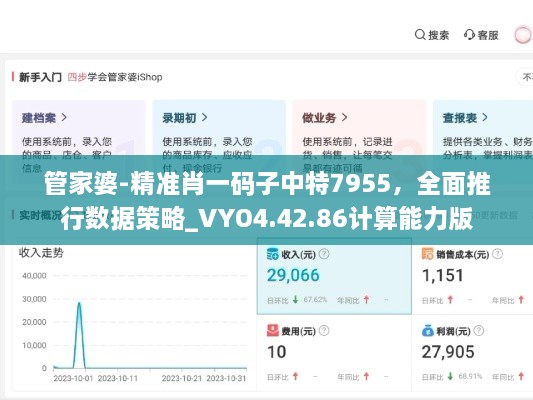 管家婆-精准肖一码子中特7955，全面推行数据策略_VYO4.42.86计算能力版