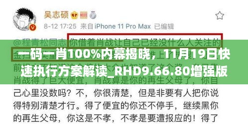 一码一肖100%内幕揭晓，11月19日快速执行方案解读_RHD9.66.80增强版