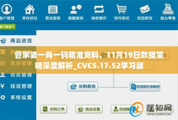 管家婆一肖一码精准资料，11月19日数据策略深度解析_CVC5.17.52学习版