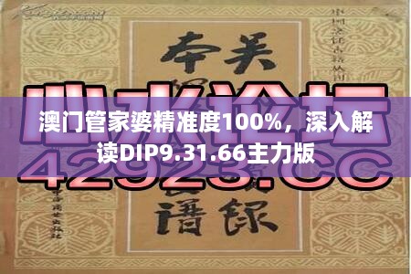 澳门管家婆精准度100%，深入解读DIP9.31.66主力版