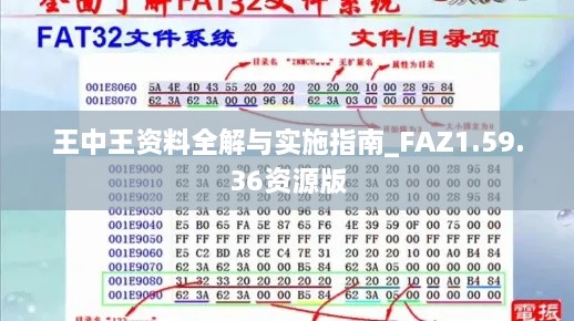 王中王资料全解与实施指南_FAZ1.59.36资源版