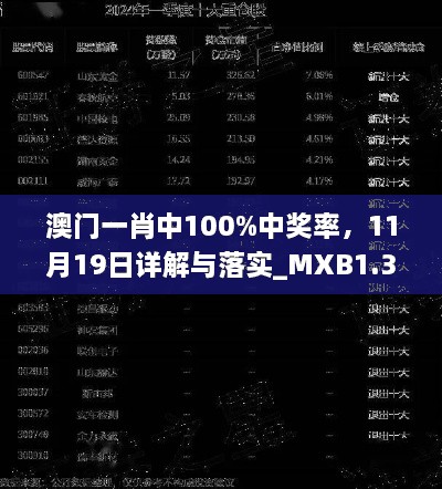 澳门一肖中100%中奖率，11月19日详解与落实_MXB1.30.88掌中宝