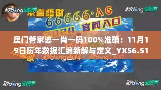 澳门管家婆一肖一码100%准确：11月19日历年数据汇编新解与定义_YXS6.51.27尊享版