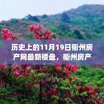 衢州房产网最新楼盘探秘，与自然共舞的日子启程寻找内心平静之旅的11月19日回顾