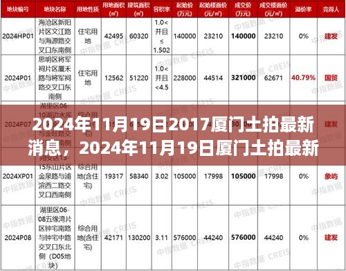 2024年11月19日厦门土拍最新消息全解析，掌握资讯获取与解读技能