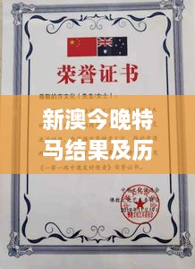 新澳今晚特马结果及历史回顾：11月19日的历史记录